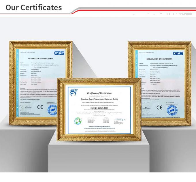 Guanyi Transmission Machinery Co., Ltd. Controllo di qualità