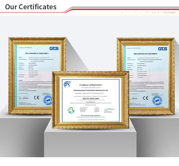 Porcellana Guanyi Transmission Machinery Co., Ltd. Certificazioni